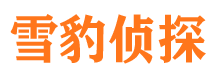 贵定市侦探调查公司